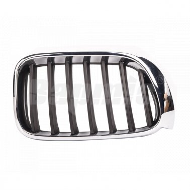 Front Grille(R)